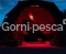 Immagine 9