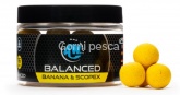 ANY WATER Balanced Boilies Banana & Scopex