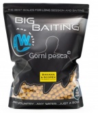 ANY WATER Big Baiting Banana & Scopex